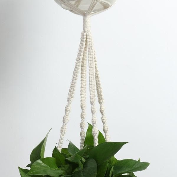 Juno Macrame Plant Hangers (set of 4)