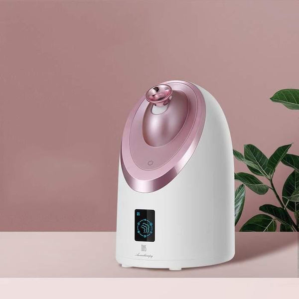 Facial Steamer