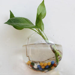 Hanging Glass Planter Terrarium