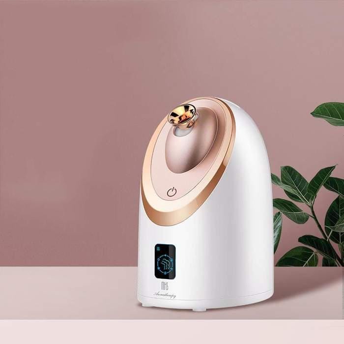 Facial Steamer