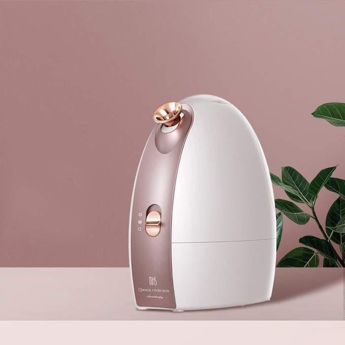 Facial Steamer