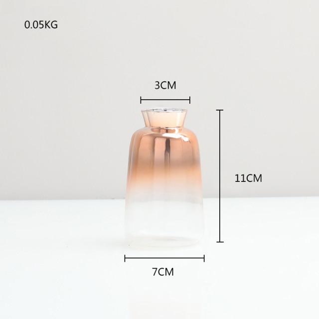 Gradient Glass Vase