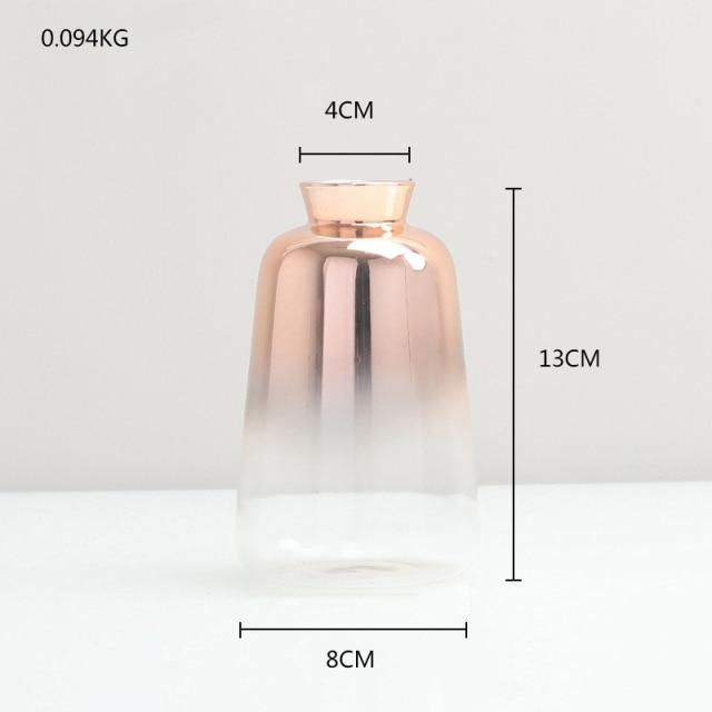 Gradient Glass Vase