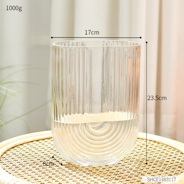 Transparent Modern Vase