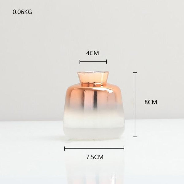 Gradient Glass Vase