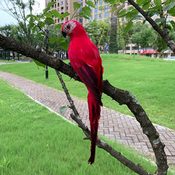 TropicPerch - Parrot Garden Decoration