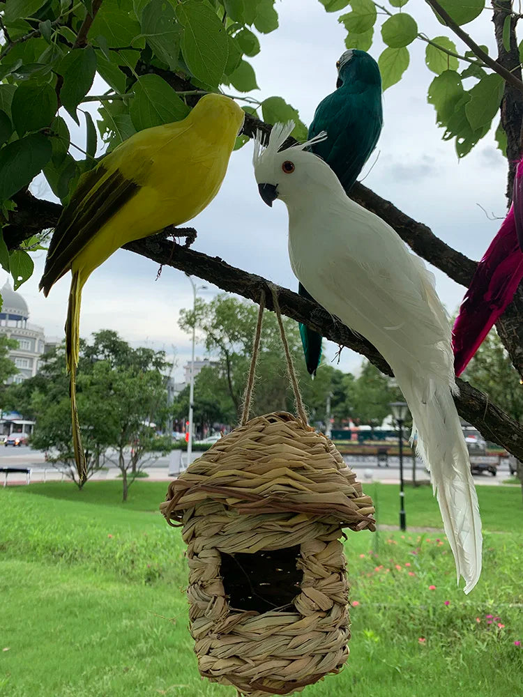 TropicPerch - Parrot Garden Decoration