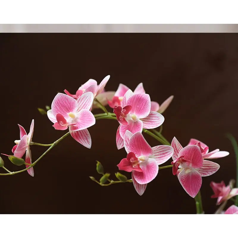 Dove Ceramic Vase with Orchid