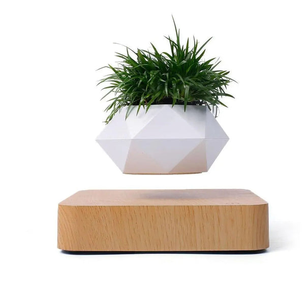 Levitating Bonsai Planter