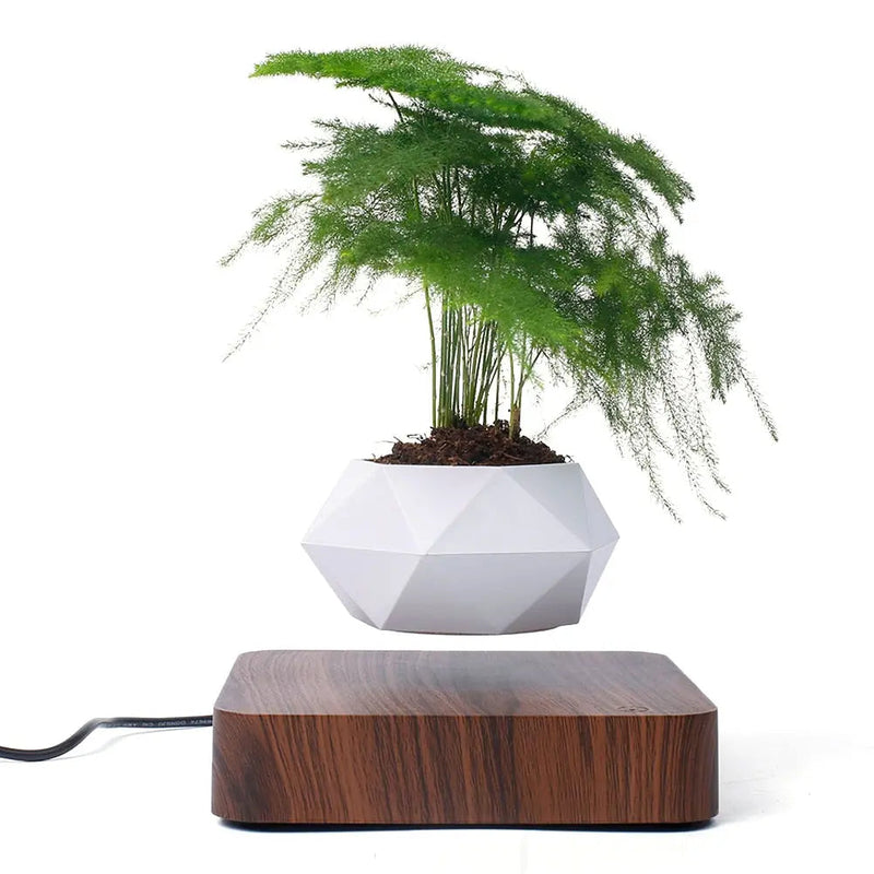 Levitating Bonsai Planter