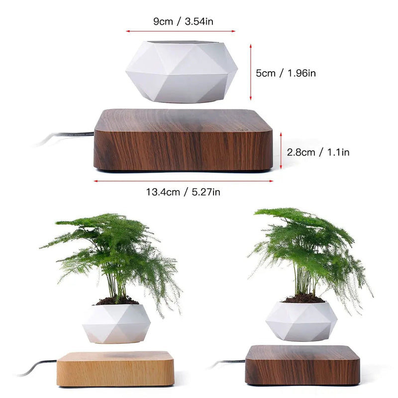 Levitating Bonsai Planter