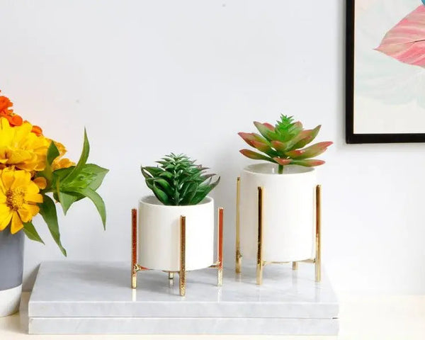 Minimalist Flower Planter with Metal Stand