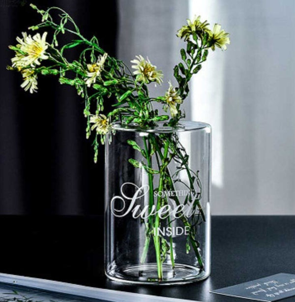 Modern Minimalist Glass Hydroponic Vase For Fresh and Dried Flowers