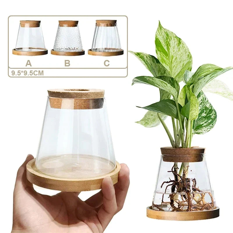 Nordic Simple Transparent Glass Vases