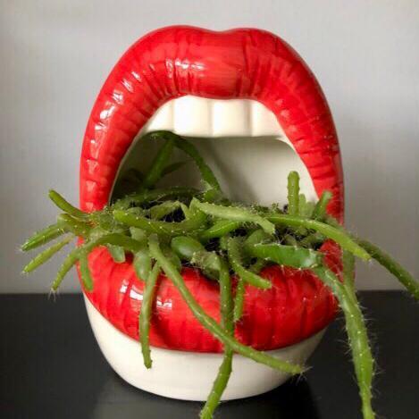 Pucker Up Lips Planter