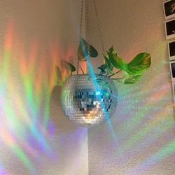 Disco Hanging Planter